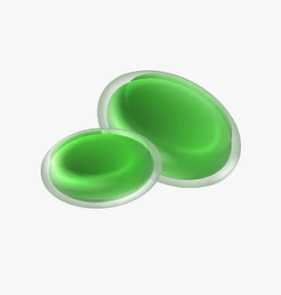 绿色有益菌插图